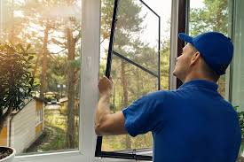 Best Wood Windows in Ellaville, GA